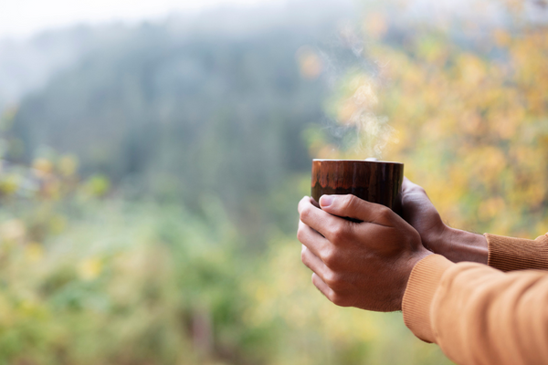 Medicinal Food: The Forgotten Wisdom of your Ancestors
